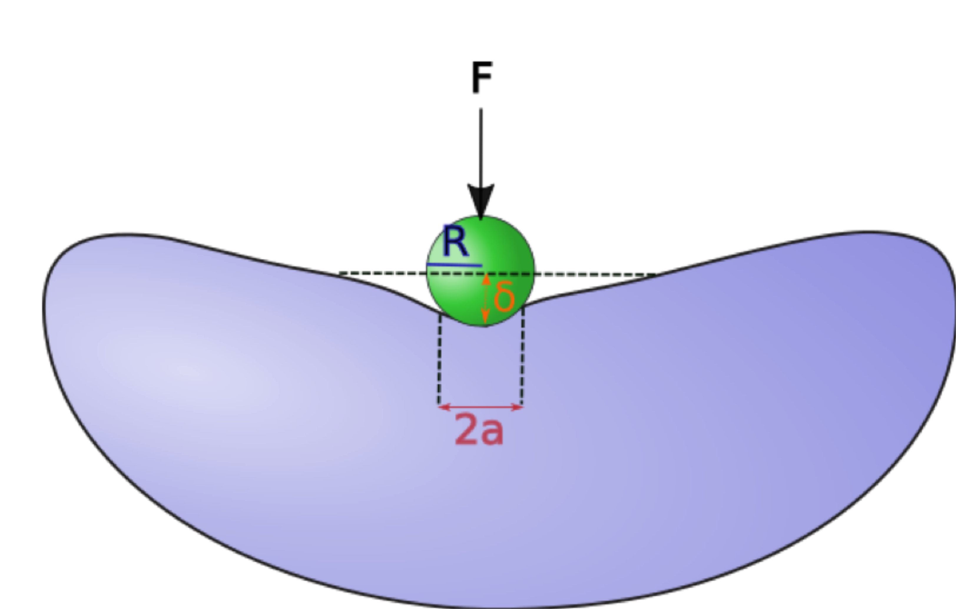 Cartoon to show how AFM is conducted on a cell